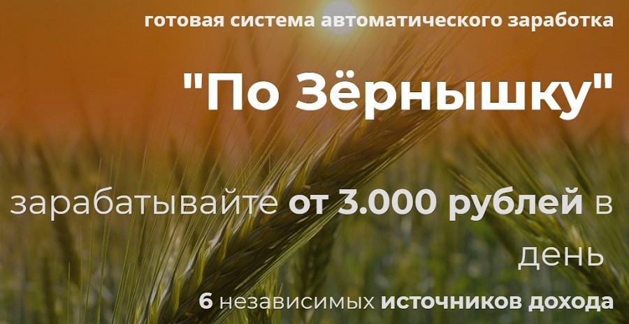 Система Цифровой актив. Заработок от 100000 рублей на готовом продукте. Обзор курса
